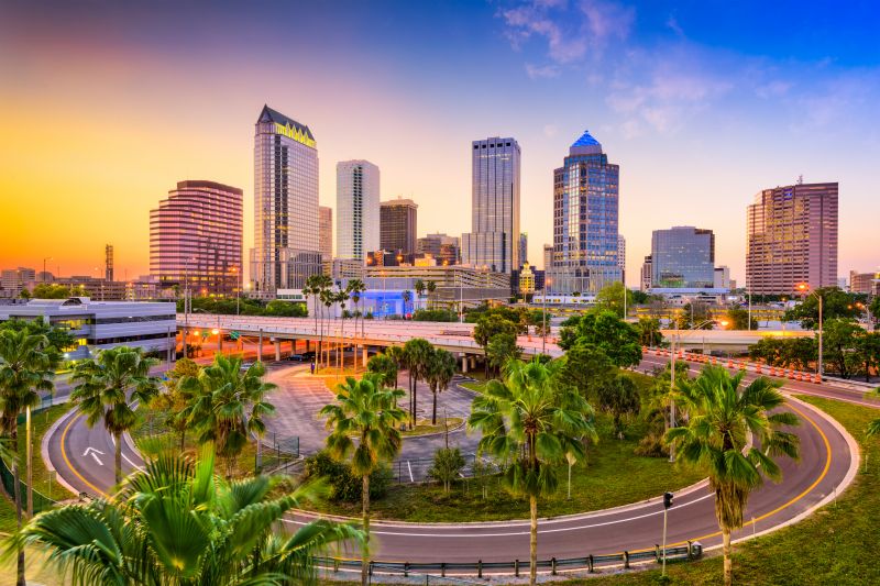 Infrared Inspection in Tampa, FL